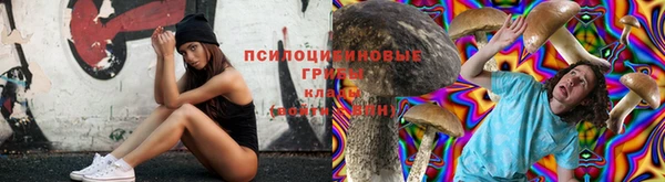 дживик Алзамай
